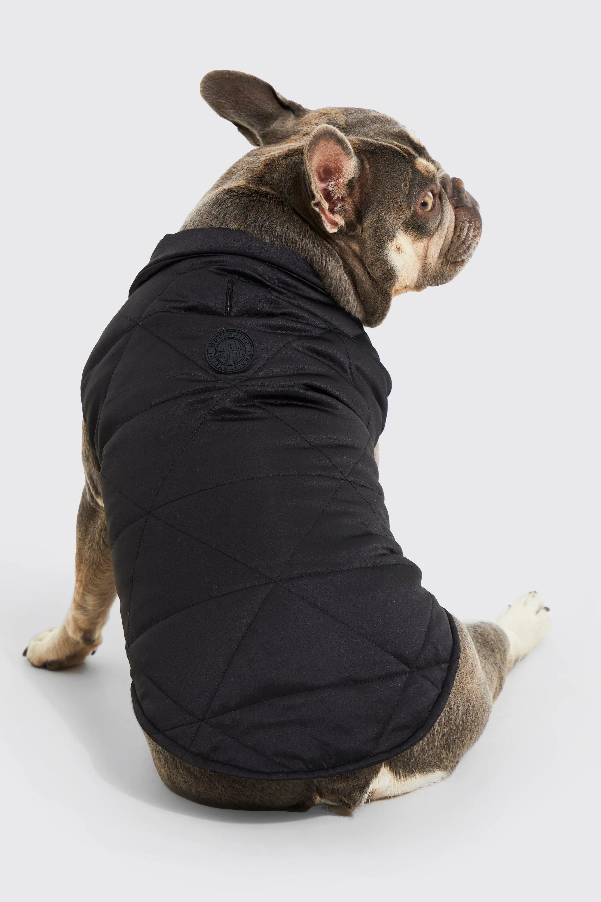 BoohooMAN Satin Nylon Quilted Dog Coat