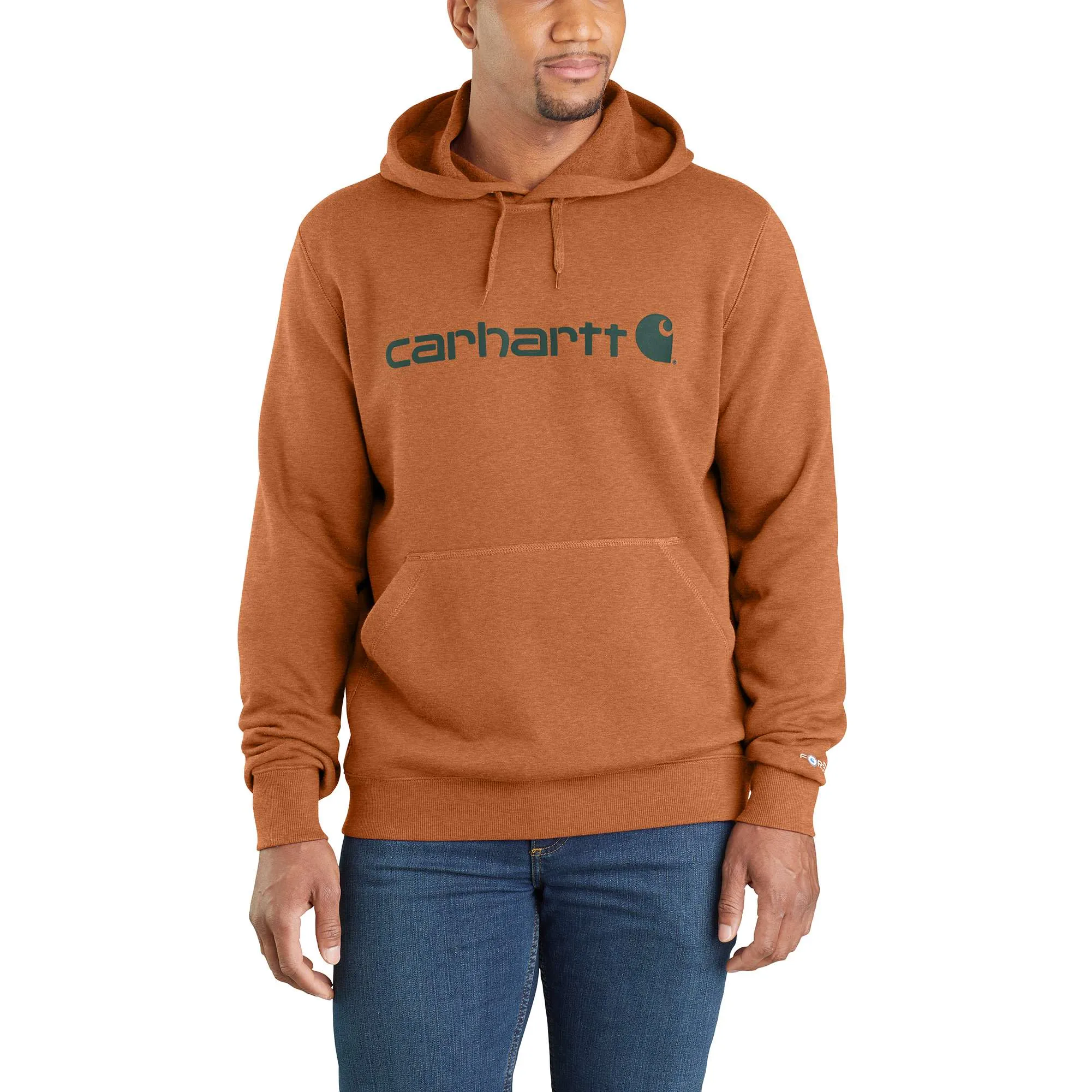 Carhartt Force Delmont Signature Graphic Hooded Sweatshirt