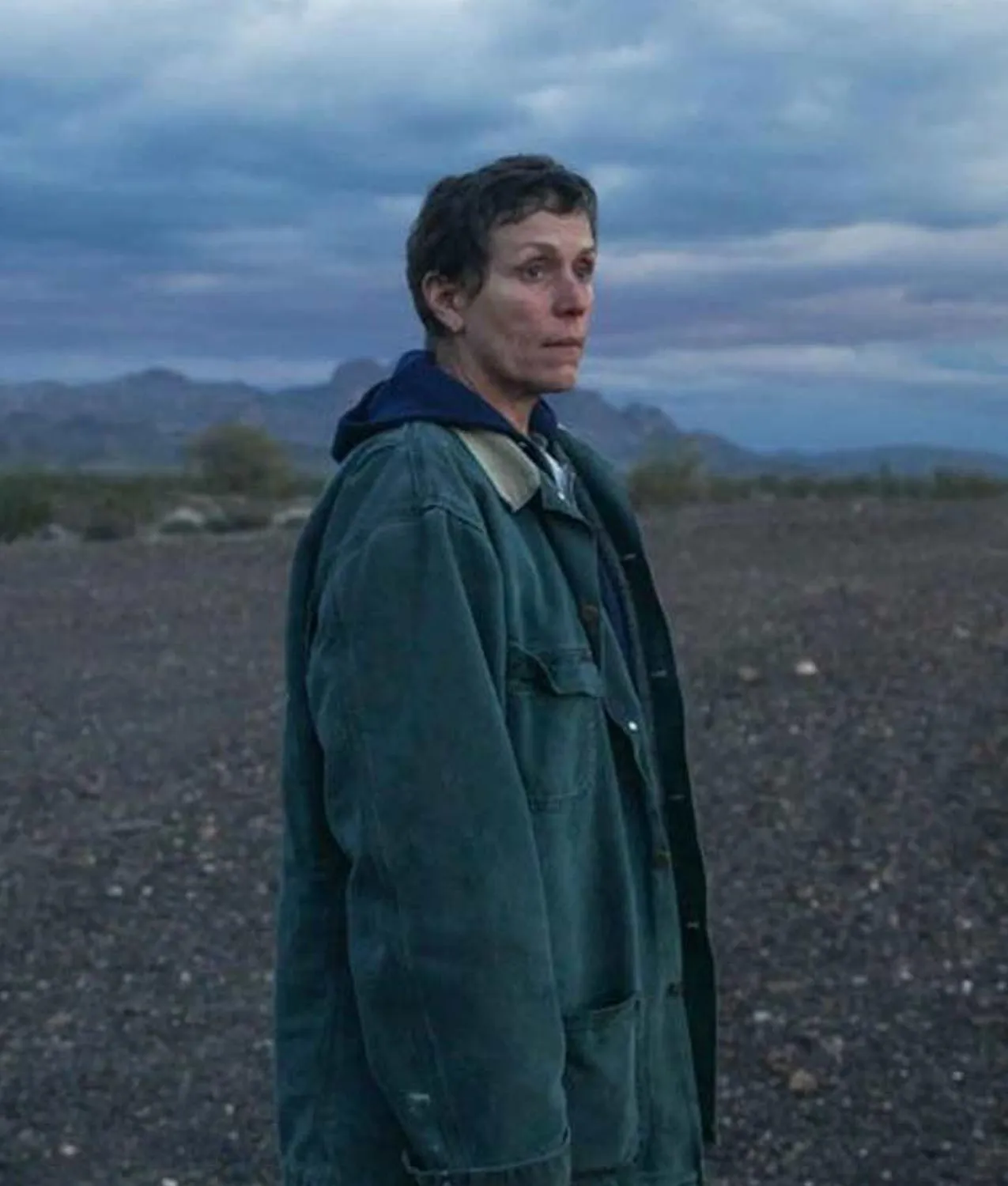 Fern Nomadland Frances McDormand Coat | Abbraci