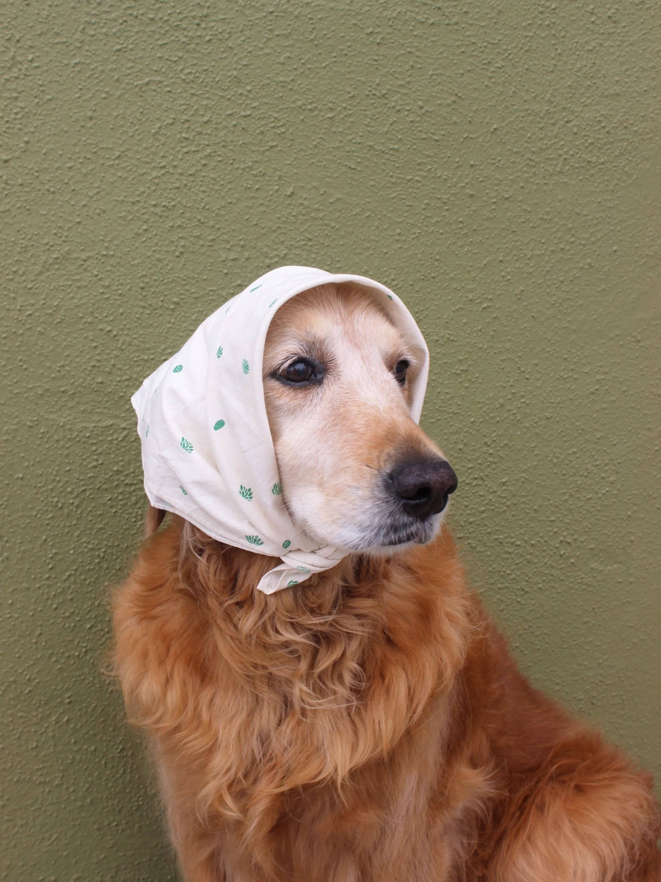 Mollusk Bandana