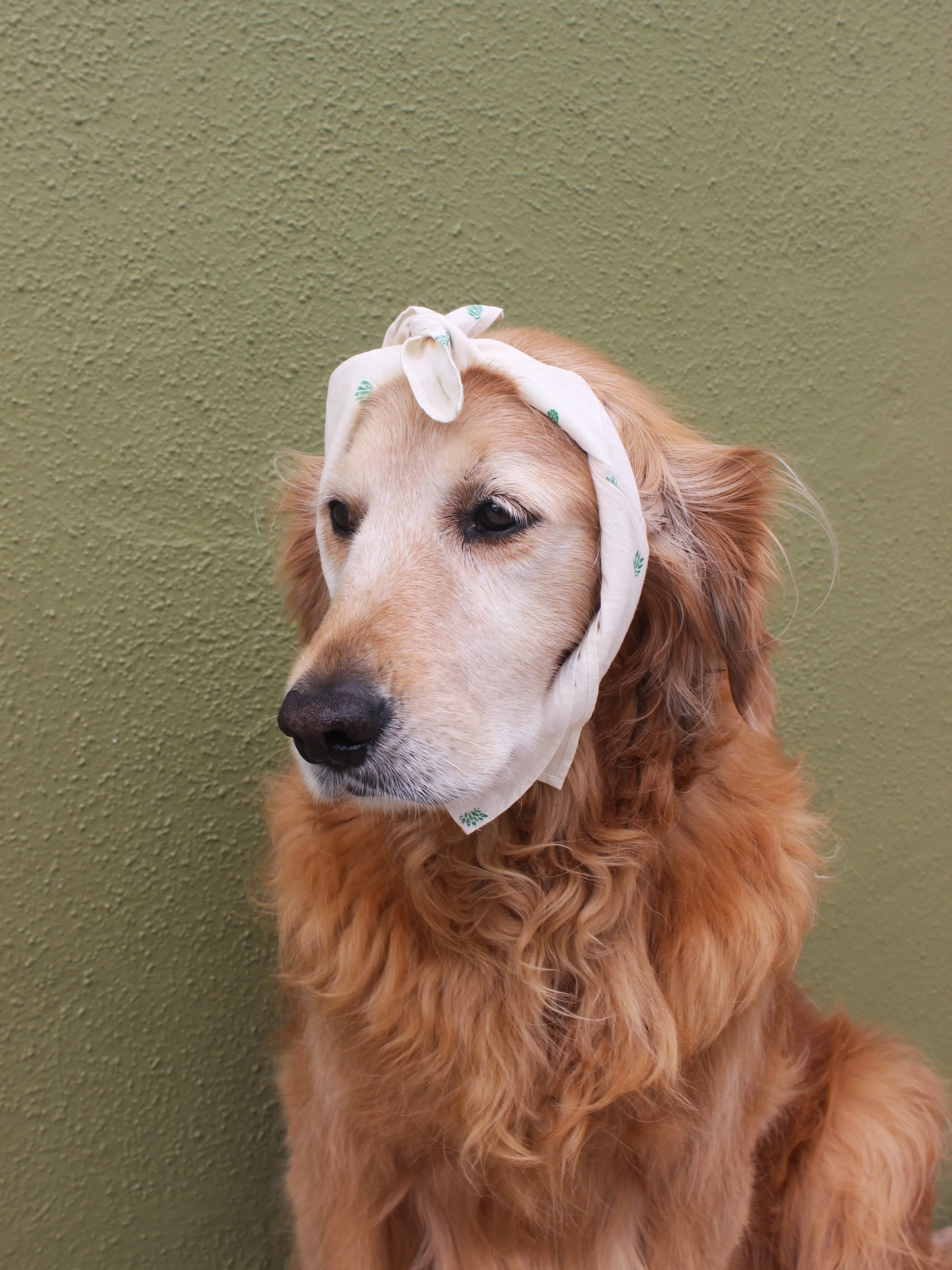 Mollusk Bandana