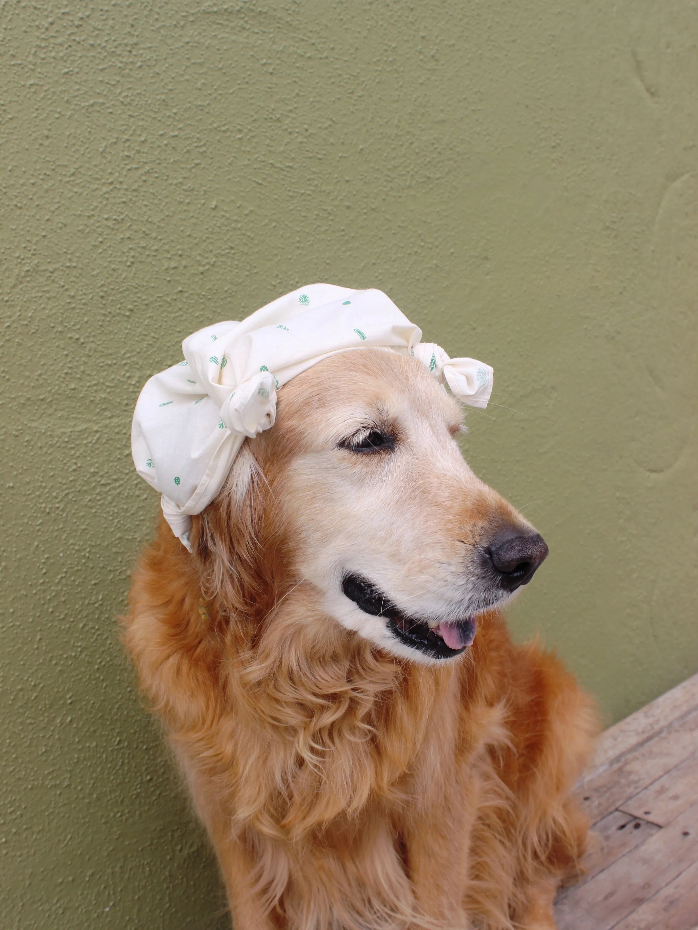 Mollusk Bandana